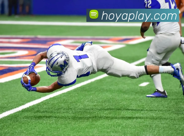 HOYA娱乐城官网平台生态图