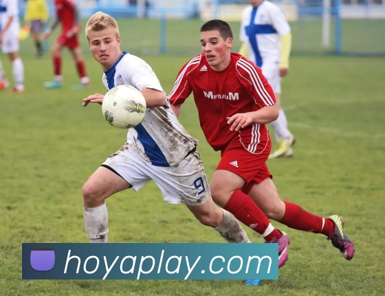 HOYA娱乐城官网全站App